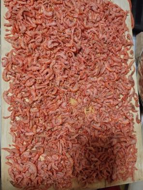 虾米南极磷虾（虾米南极磷虾好还是白虾米好）