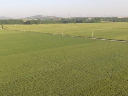 露营帐篷天幕遮阳篷（露营帐篷天幕遮阳篷安全吗）