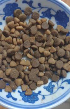 国产天然猫粮哪个牌子好（国产天然猫粮哪个牌子好性价比高）