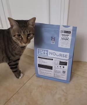国产猫粮哪个品牌质量可靠(国产猫粮哪个品牌质量可靠又好吃)