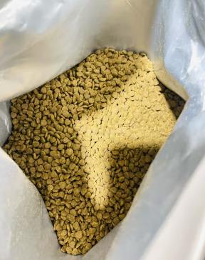 什么牌子的幼猫猫粮比较好（什么牌子的幼猫猫粮比较好吃）