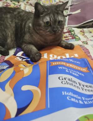 猫狗粮用什么材料做的（猫狗粮用什么材料做的好）