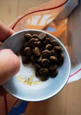 中等价格的猫粮（中等价格的猫粮什么牌子好）