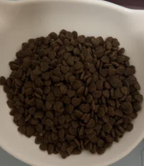 五个月大的猫猫吃什么猫粮（五个月大的猫猫吃什么猫粮好）