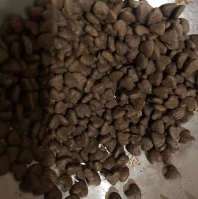 幼猫猫粮什么价(幼猫猫粮什么价位)