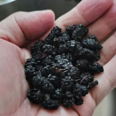 三高可以吃黑桑椹干吗(三高能吃桑葚干吗)