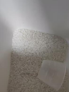 五常大米稻花香（五常大米稻花香2号）