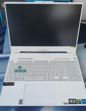 华硕（ASUS）天选4 13代英特尔酷睿i9 15.6英寸电竞游戏本 笔记本电脑(i9-13900H 16G 1T RTX4060 2.5K 165Hz P3广色域)