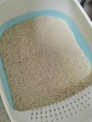 倔强的尾巴猫砂 宠物用品低粉尘结团猫砂豆腐猫砂