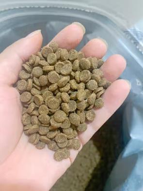 网易严选 全价冻干双拼猫粮宠物主粮幼猫成猫全价天然无谷粮猫咪食品