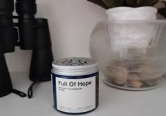 室内除甲醛（室内除甲醛公司真的有效吗）