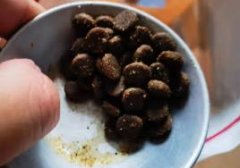 中等价格的猫粮（中等价格的猫粮什么牌子好）