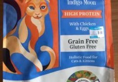 老年猫应该吃什么猫粮（大猫怎么喂养吃什么）