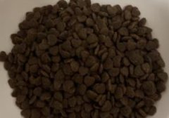 五个月大的猫猫吃什么猫粮（五个月大的猫猫吃什么猫粮好）