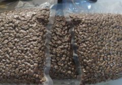 天然猫粮（天然猫粮排行榜）