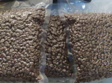 天然猫粮（天然猫粮排行榜）