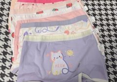 儿童女孩子内裤（怎么选儿童内裤合适?）