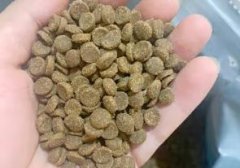 网易严选 全价冻干双拼猫粮宠物主粮幼猫成猫全价天然无谷粮猫咪食品