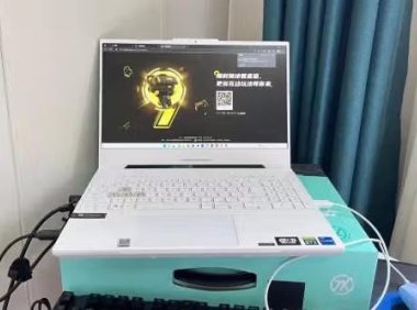 华硕（ASUS）天选4 锐龙版 15.6英寸高性能电竞游戏本 笔记本电脑(新R7-7735H 16G 512G RTX4060 144Hz高色域电竞屏)